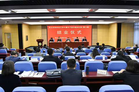 071751876b780c66c1fdb2b344452f8_副本.jpg