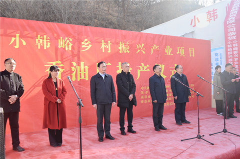 DSC_2739_副本_副本.jpg DSC_2739_副本_副本.jpg