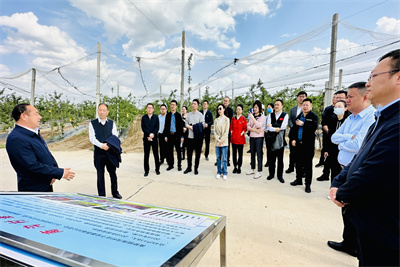 中青二班延安行09.jpg