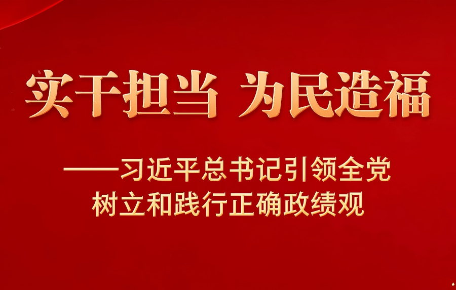 实干担当 为民造福——习近平总书记引领全党树立和践行正确政绩观