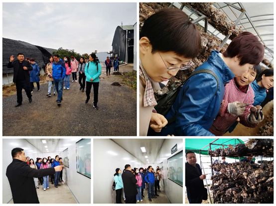 1603175836758089538.png image.png